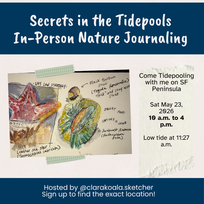 Image of a demo sketch for In-person nature journaling on Sat May 23, 10 to 4, low tide at 11:27 a.m.
