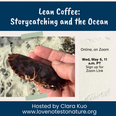 Image: Photo of a crab shell and online details for Lean Coffee: Storycatching and the Ocean, Online on Zoom, Wed May 6 at 11 am Pacific