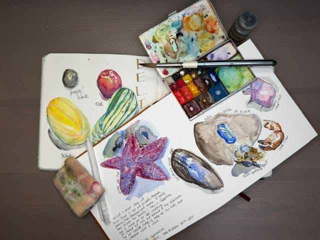 Photo of the artist's sketchbooks from past and present