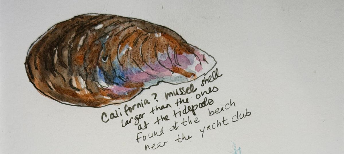 April 2026: How to Pay Attention