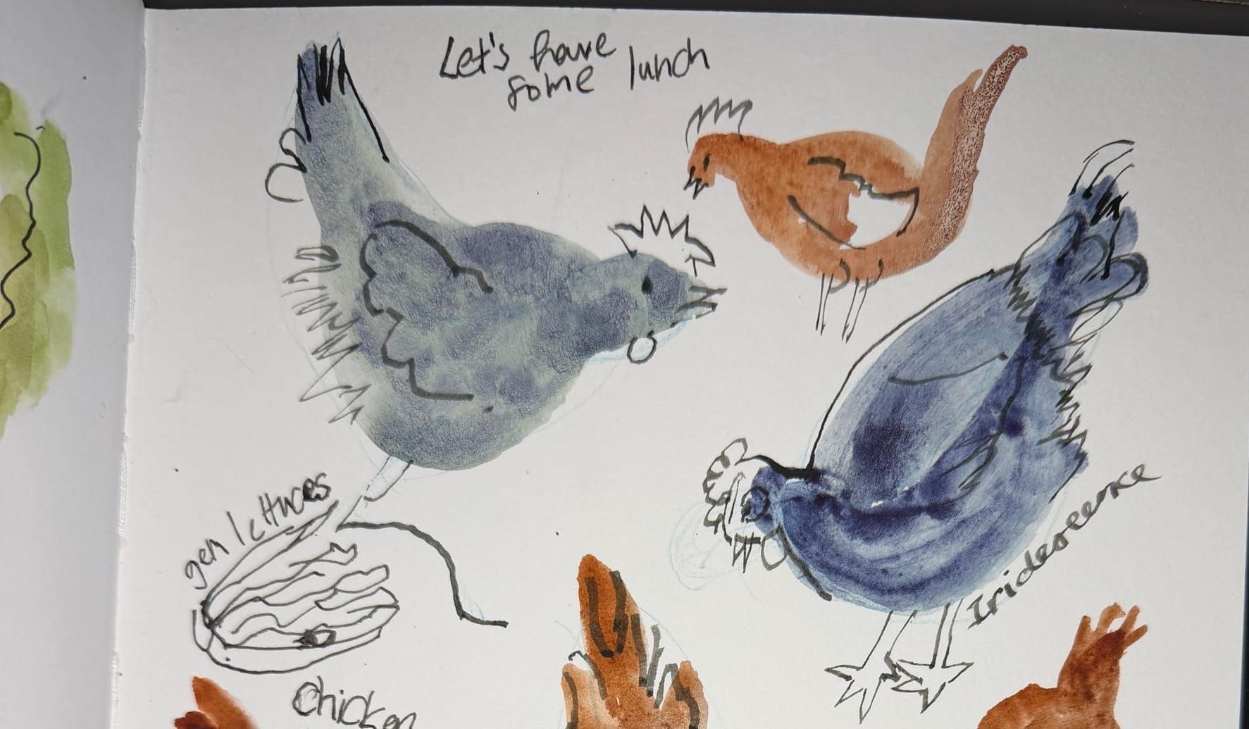 Barnyard chickens (and drawing other nearby birds)