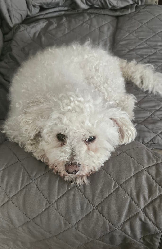 Day 15: What's Next?