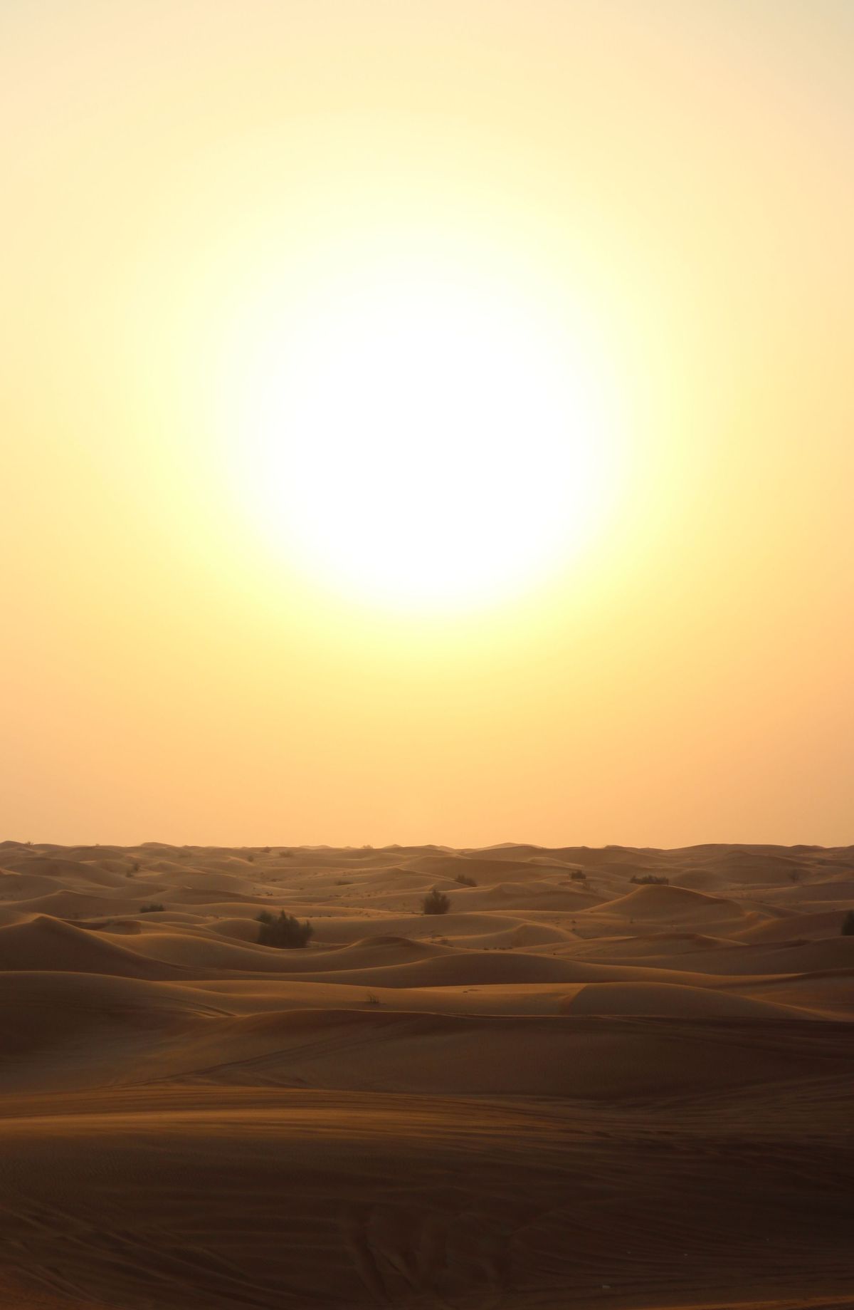Audio Note ~ Seeing Yourself as the Light + Walking into Union + My Wedding