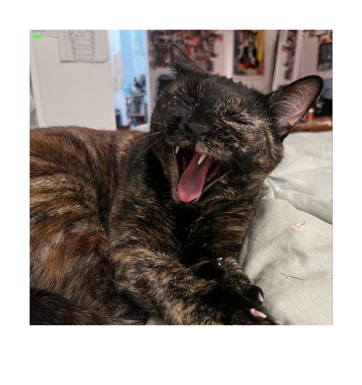 happy birthday newsletter
