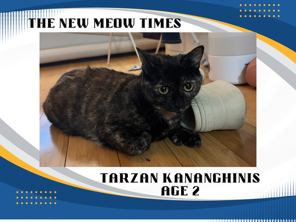 breaking news ‼️💢📳😱😻