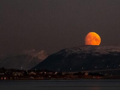 Å styre i apokalypsen