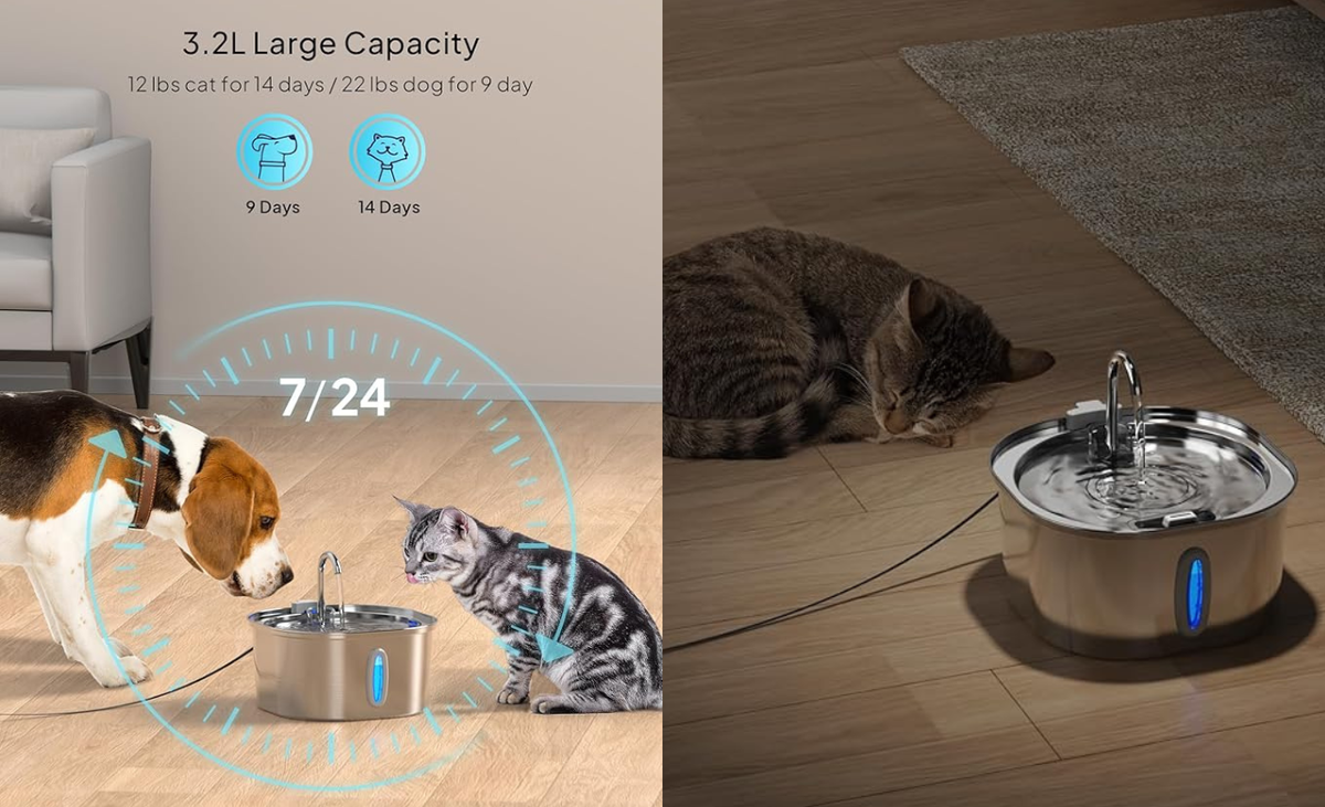 Best Cat Water Fountains to Buy in 2025: A Must-Have for Pet Owners
