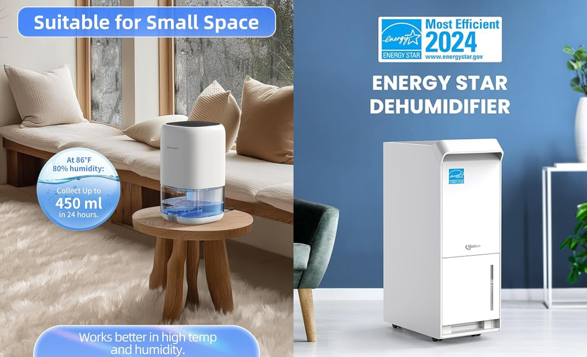 Best Dehumidifiers on Amazon in 2025: Find the Perfect Solution for Your Home