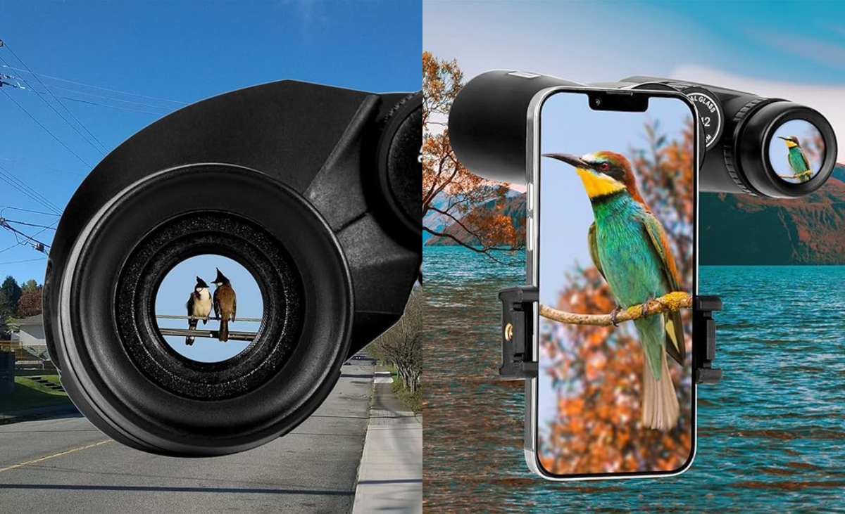 Best Binoculars 2025: Top Picks for Outdoor Adventures and Stargazing