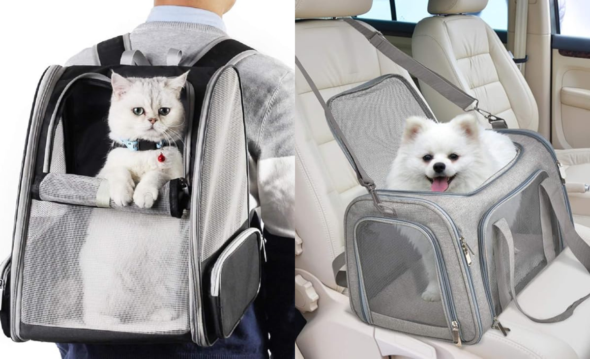 Top 5 Best Pet Travel Carriers of 2025: Comfort and Security for Safe Journeys