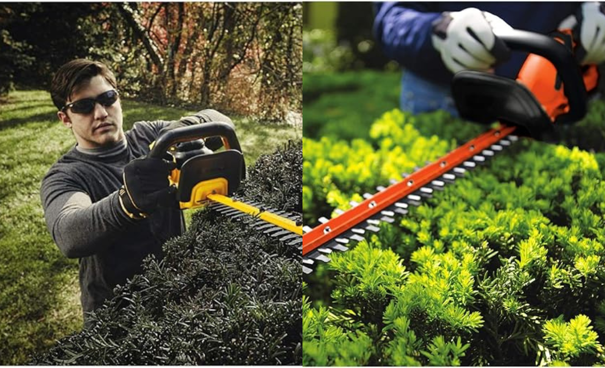 Top-Rated Cordless Hedge Trimmers 2025: Tidy Your Garden with the Best Tools Available