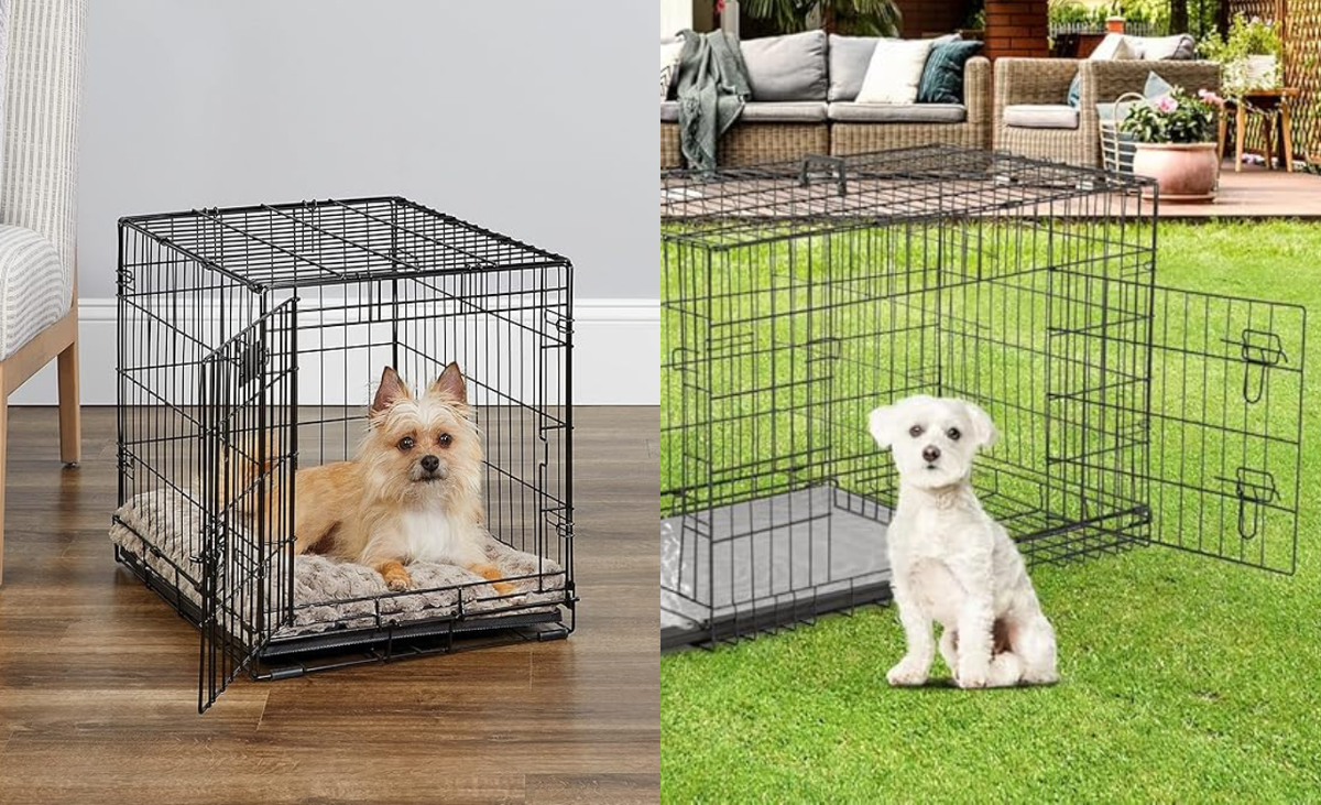 2025’s Best Dog Crates: Durable and Portable Options for Every Dog Breed