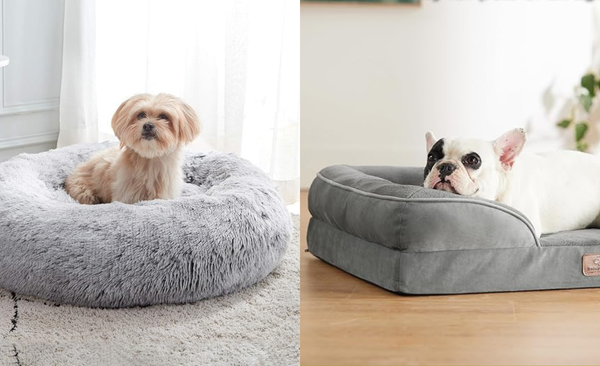Top 5 Best Pet Beds of 2025: Comfort and Support for Your Furry Friend