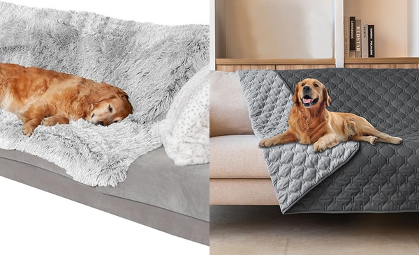 Best Waterproof Pet Blankets to Buy in 2025: Cozy, Washable, and Protective