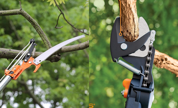 Cut Above the Rest: Best Tree Pruners Reviewed for 2025