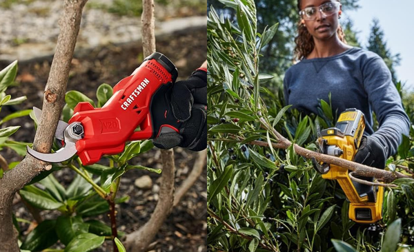 Cut Above the Rest: Top Cordless Pruning Shears Reviewed