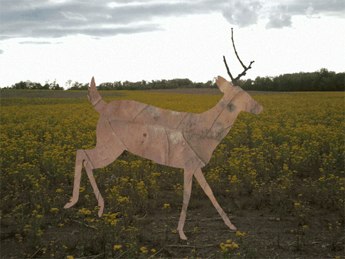 The Weight of Being Liked