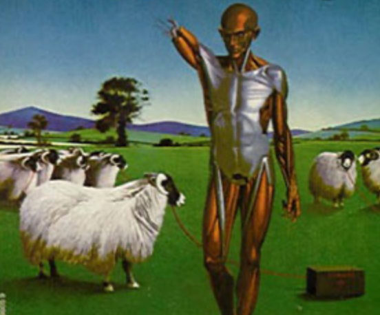 Cover art for "Do Androids Dream of Electric Sheep" 