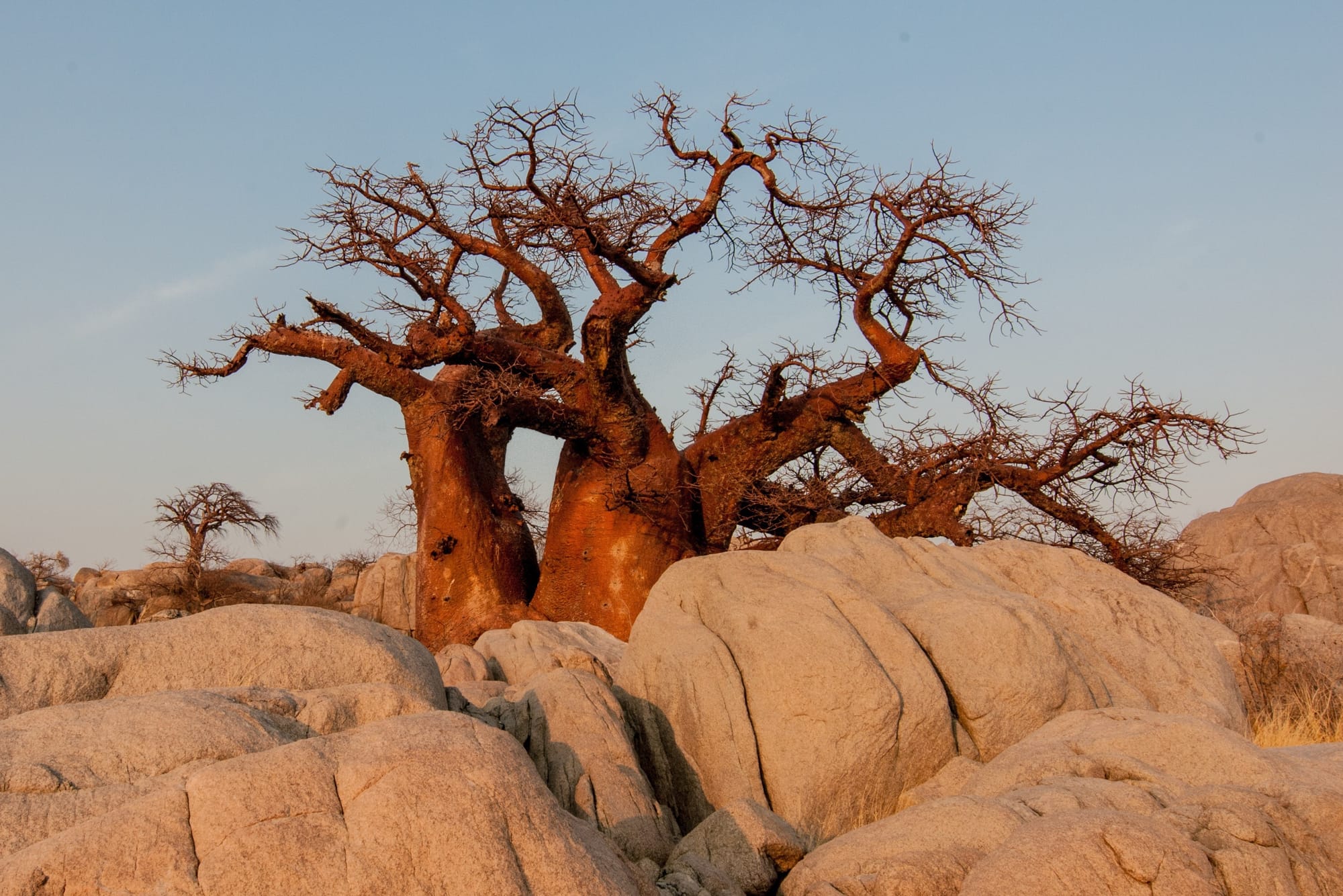 Image by Herbert Bieser from Pixabay
