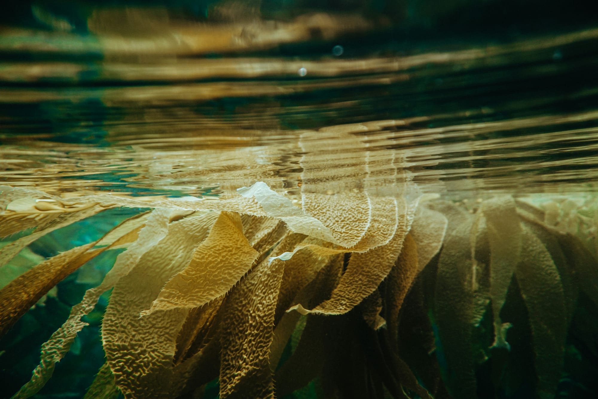 Photo by Shane Stagner on Unsplash