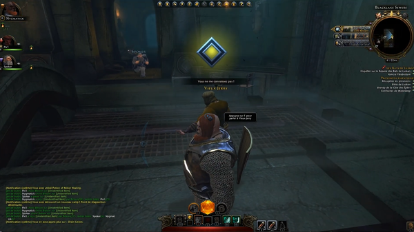 Neverwinter Online : Aventures épiques, bugs en coop et fous rires entre amis sur le MMORPG !