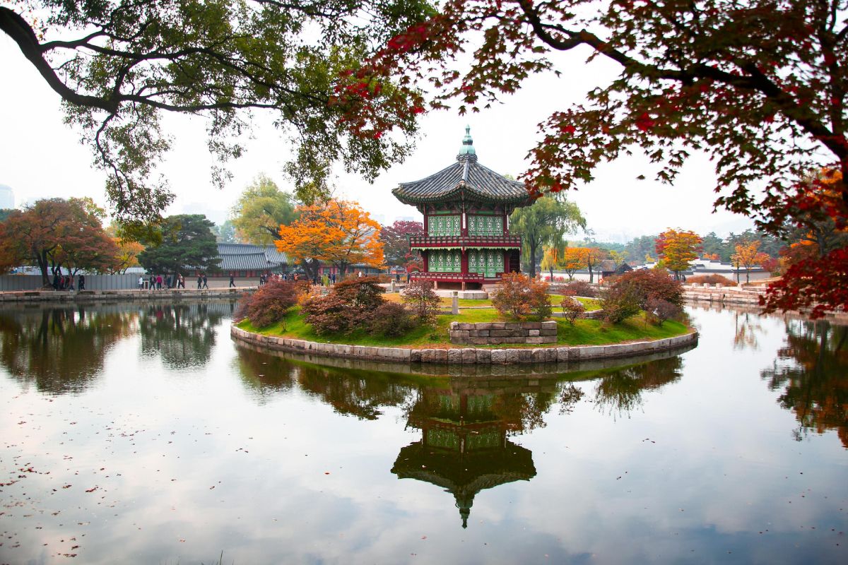 South Korea digital nomad visa - Benefits