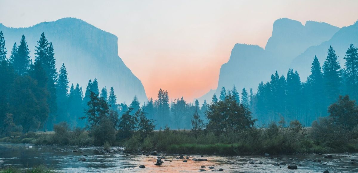 body of water surrounded by trees