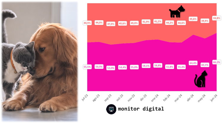 Mascotas en las redes: así es la pasión argentina por perros y gatos