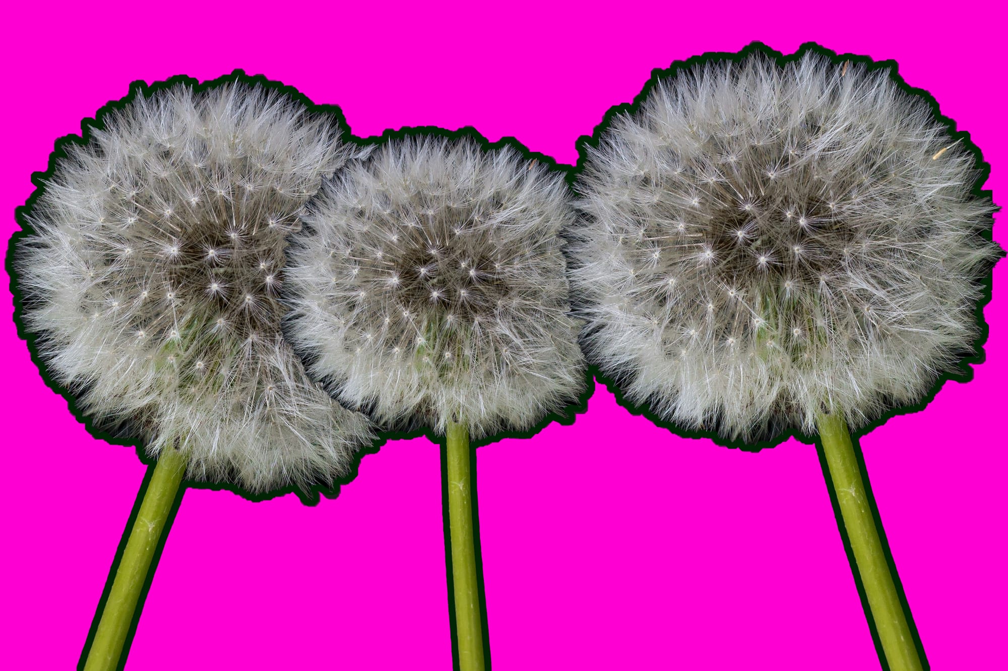 Improving Baselayer Privacy with Dandelion++