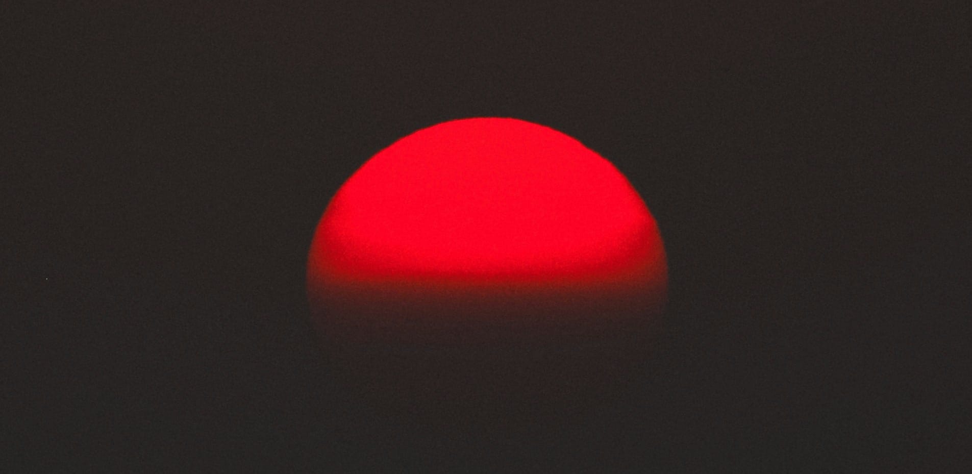 Samourai Wallet: Rodriguez Deemed Flight Risk, Denied Freedom Of Movement