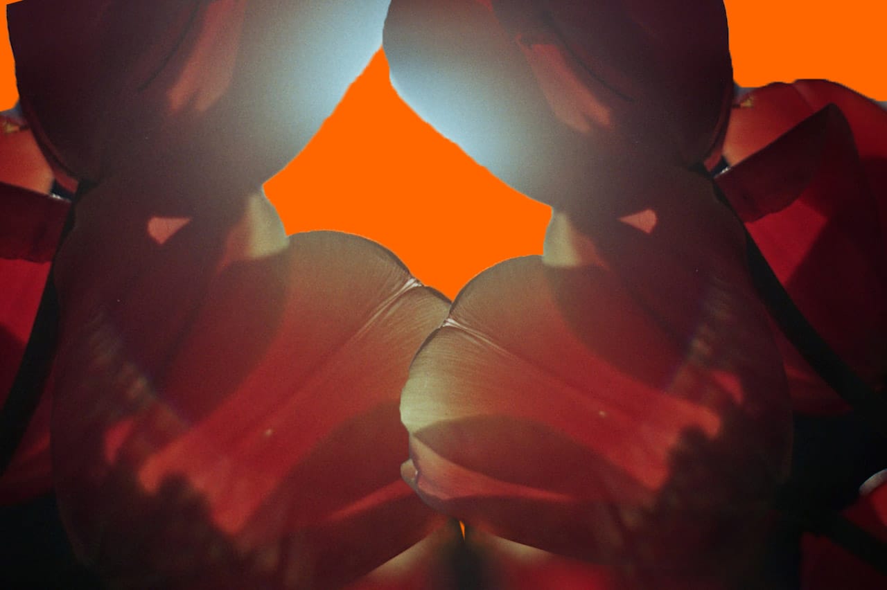 Pertsev Appeal: Defense Demands Insights Into Chainalysis Software