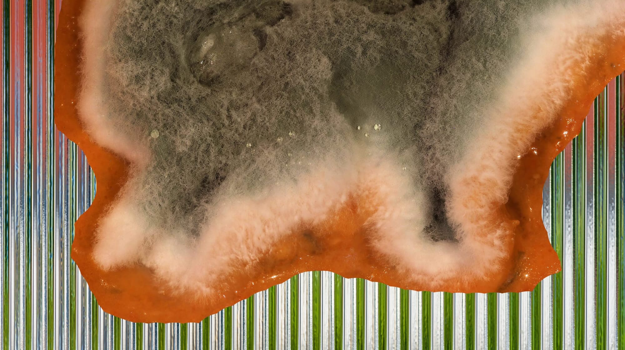 Letter #3: Notes From The Inside