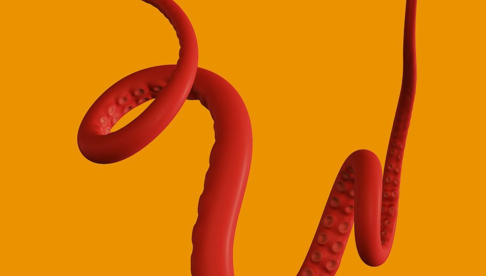 Kraken Germany Removes Lightning Network Support post image