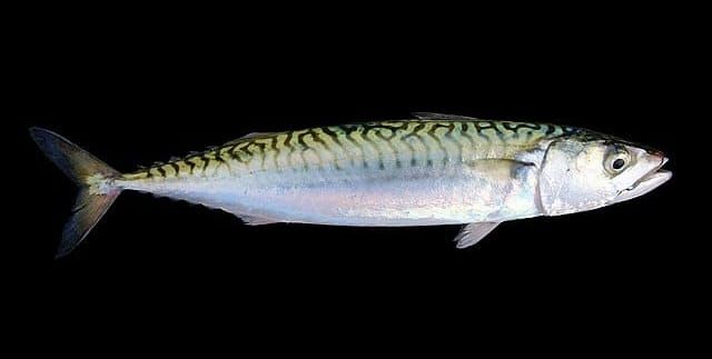 Letter #2: Notes From The Inside post image