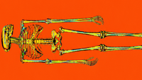 Senate Republicans Unveil New Clarity Act Draft post image