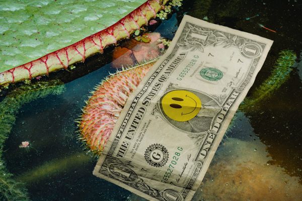 Roman Storm Should Not Be Acquitted, Government Says post image