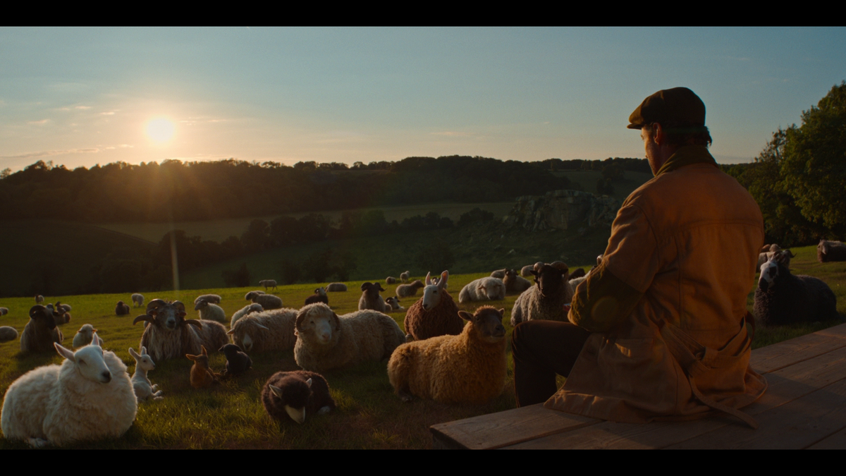 Big Sheep. Big Feelings.