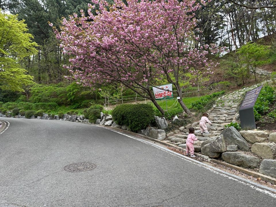 The 9-Month Problem--Renting in Korea Between Short-Term and Long-Term