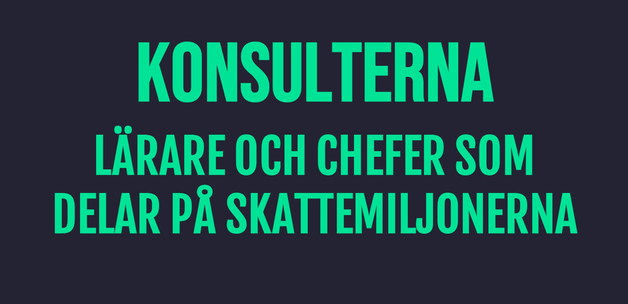 Konsulterna: Lärare och chefer som delar på skattemiljonerna