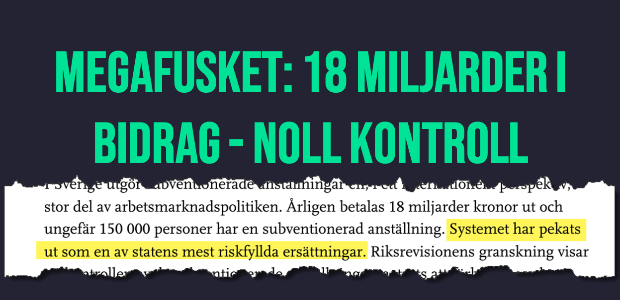 Megafusket: 18 miljarder i bidrag - noll kontroll