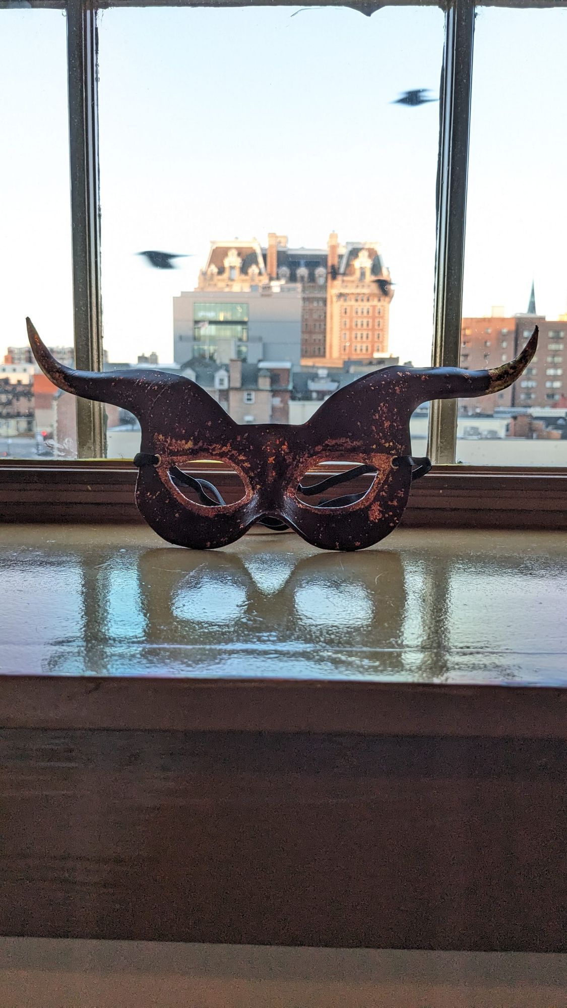 A red leather devil mask is sitting on a window sill with buildings and crows behind it.