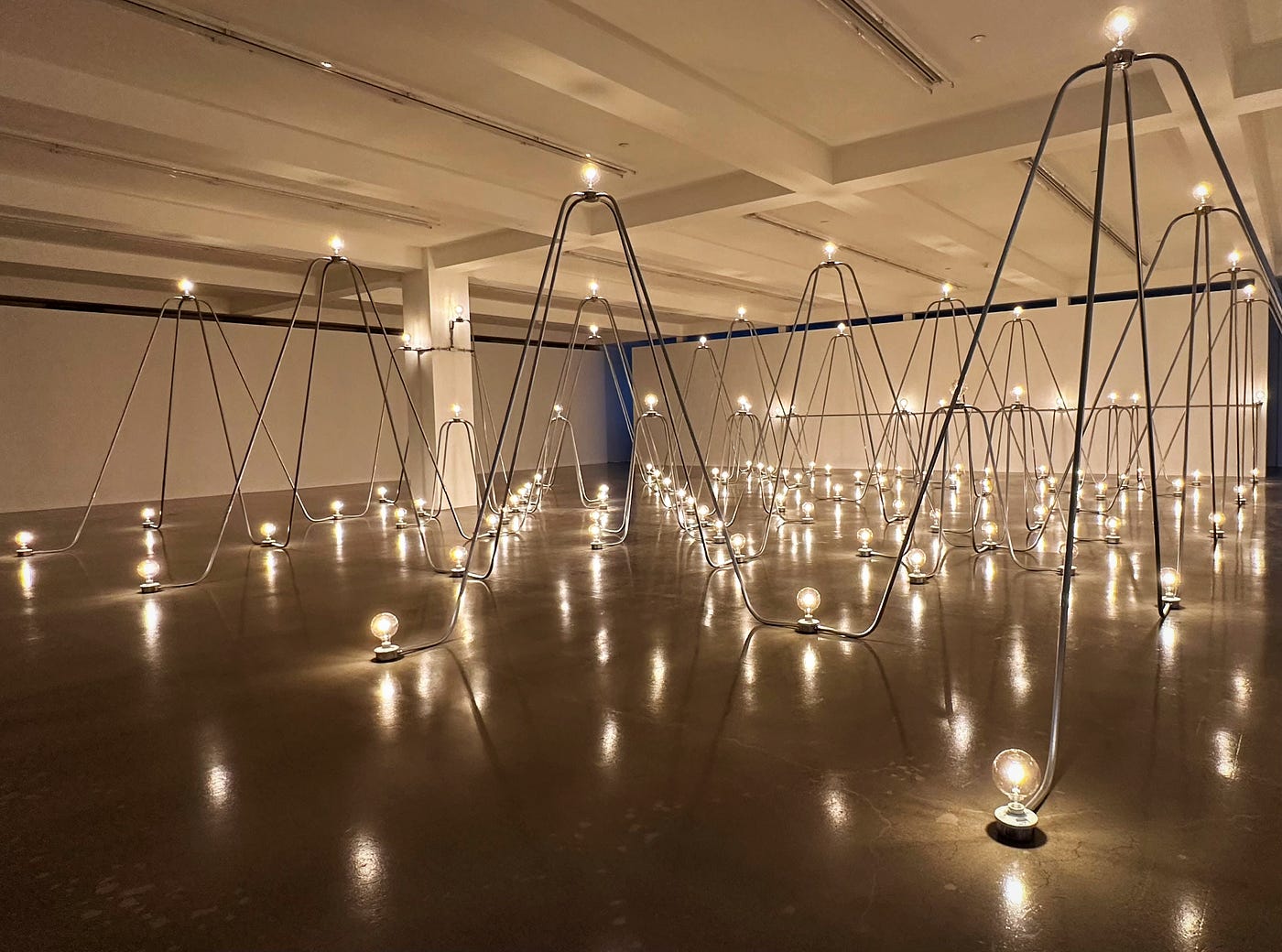 A large, white gallery space. In it is an industrial-looking sculpture comprised of a single, interconnected light fixture spanning nearly the entire room. The sculpture looks like a series of “metal mountains”; glowing light bulbs are affixed atop those mountains and within their valleys.