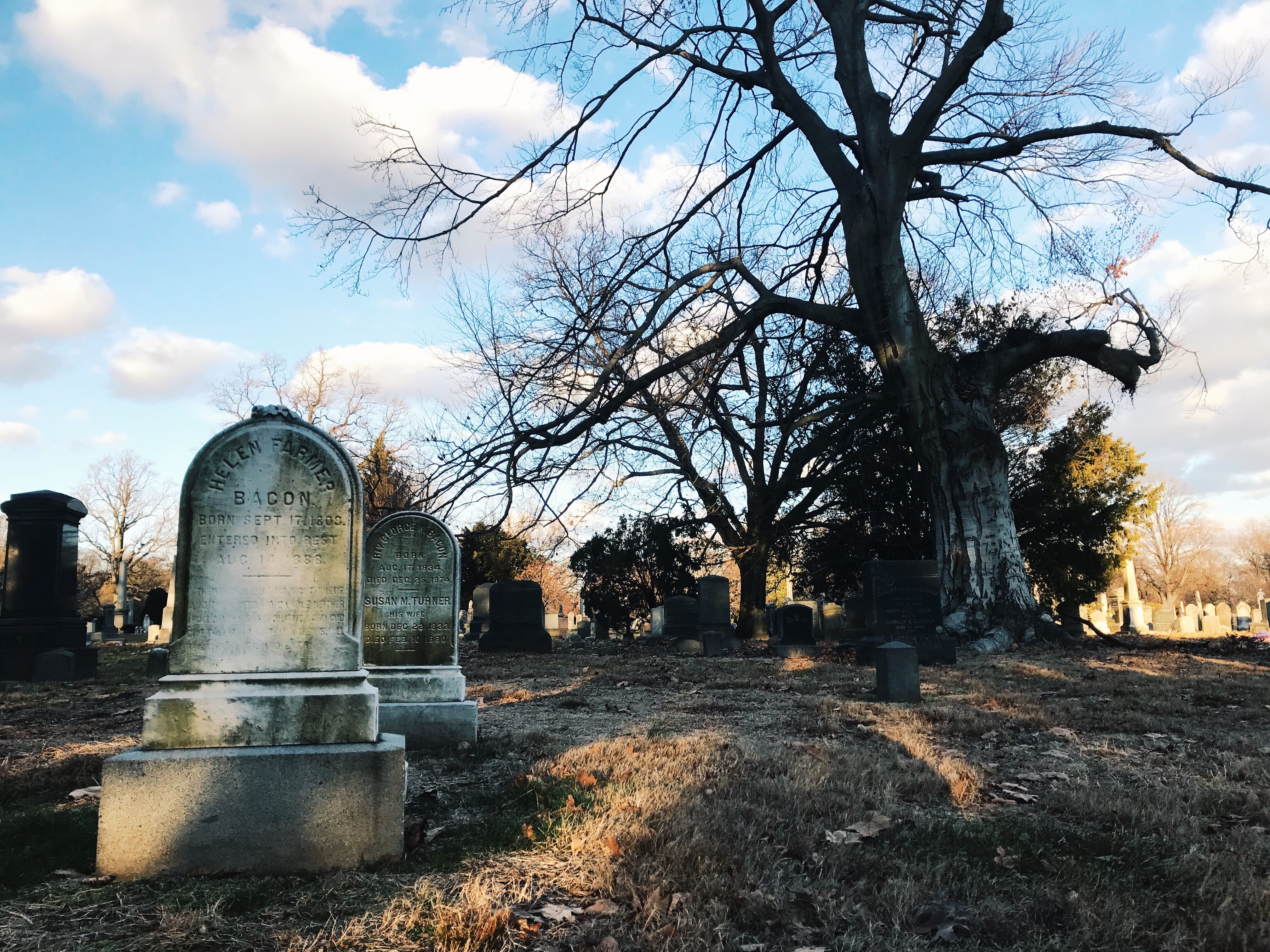 Take a Walk Through Old New York with Gelsey Bell’s ‘Cairns’ (Review)