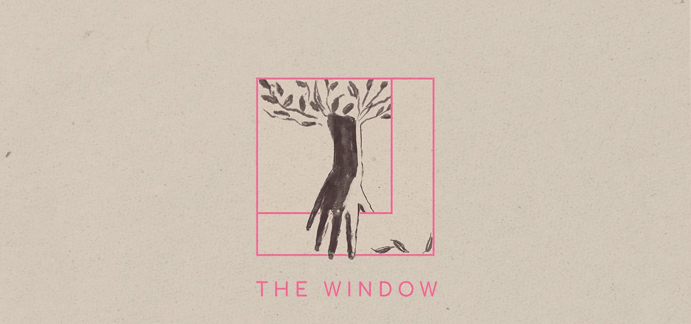 A View into the Verboten with ‘The Window’ (Review)