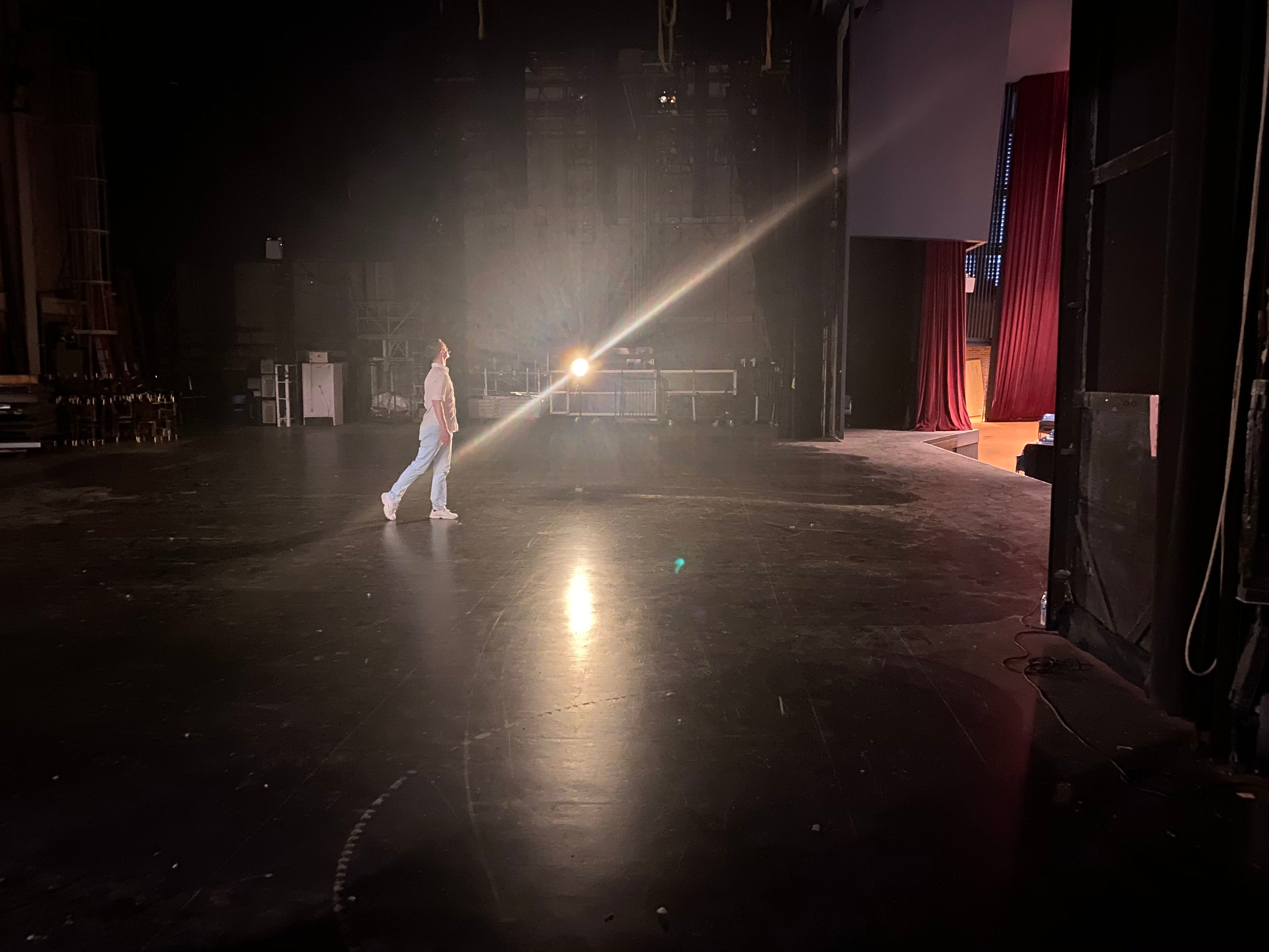 Rediscovering ‘The Art of Walking’ (Review)