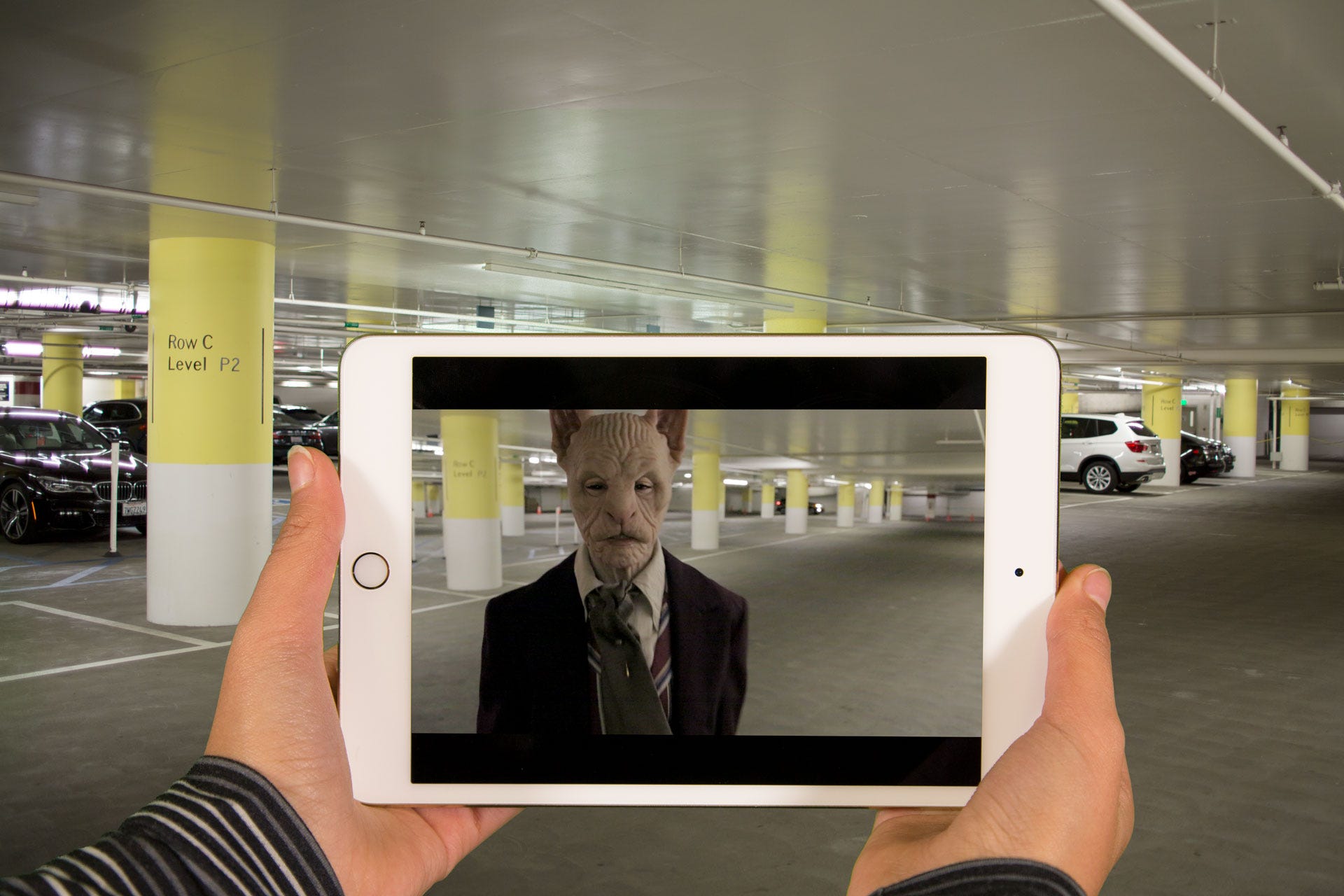 Picks of the Week (1/15/20–1/22/20)