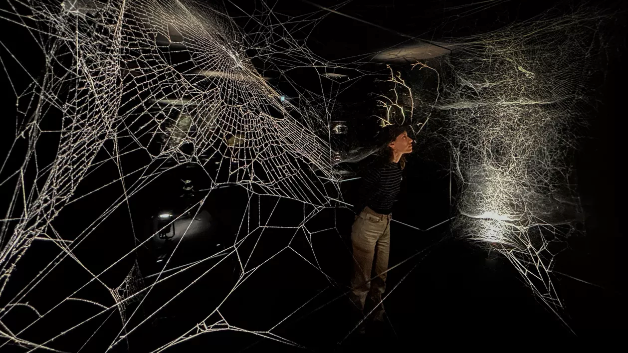 A person standing in the center of a dark room. Spotlights illuminate the expansive and  delicate geometry of spider webs.