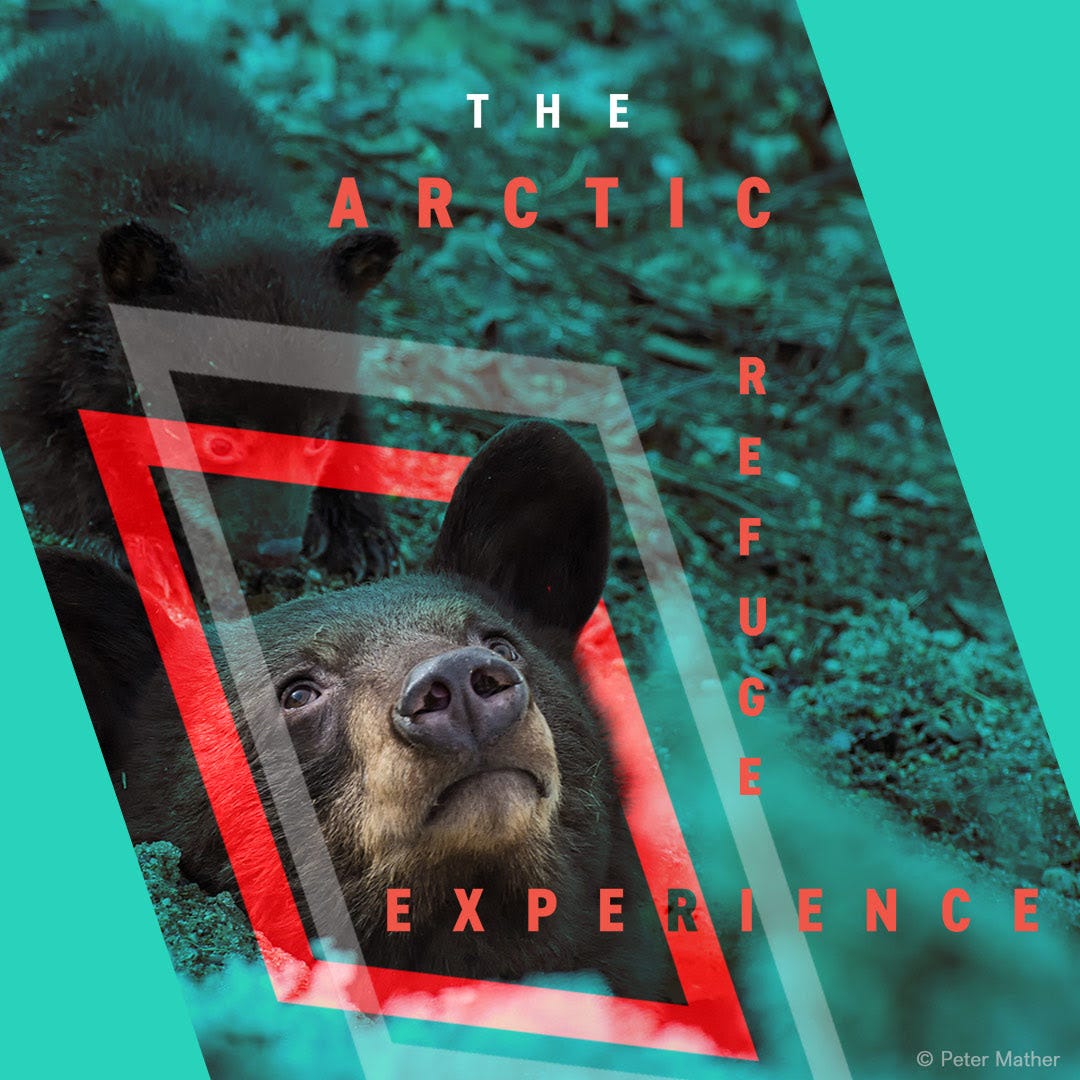 NYC : The Arctic Refuge Experience