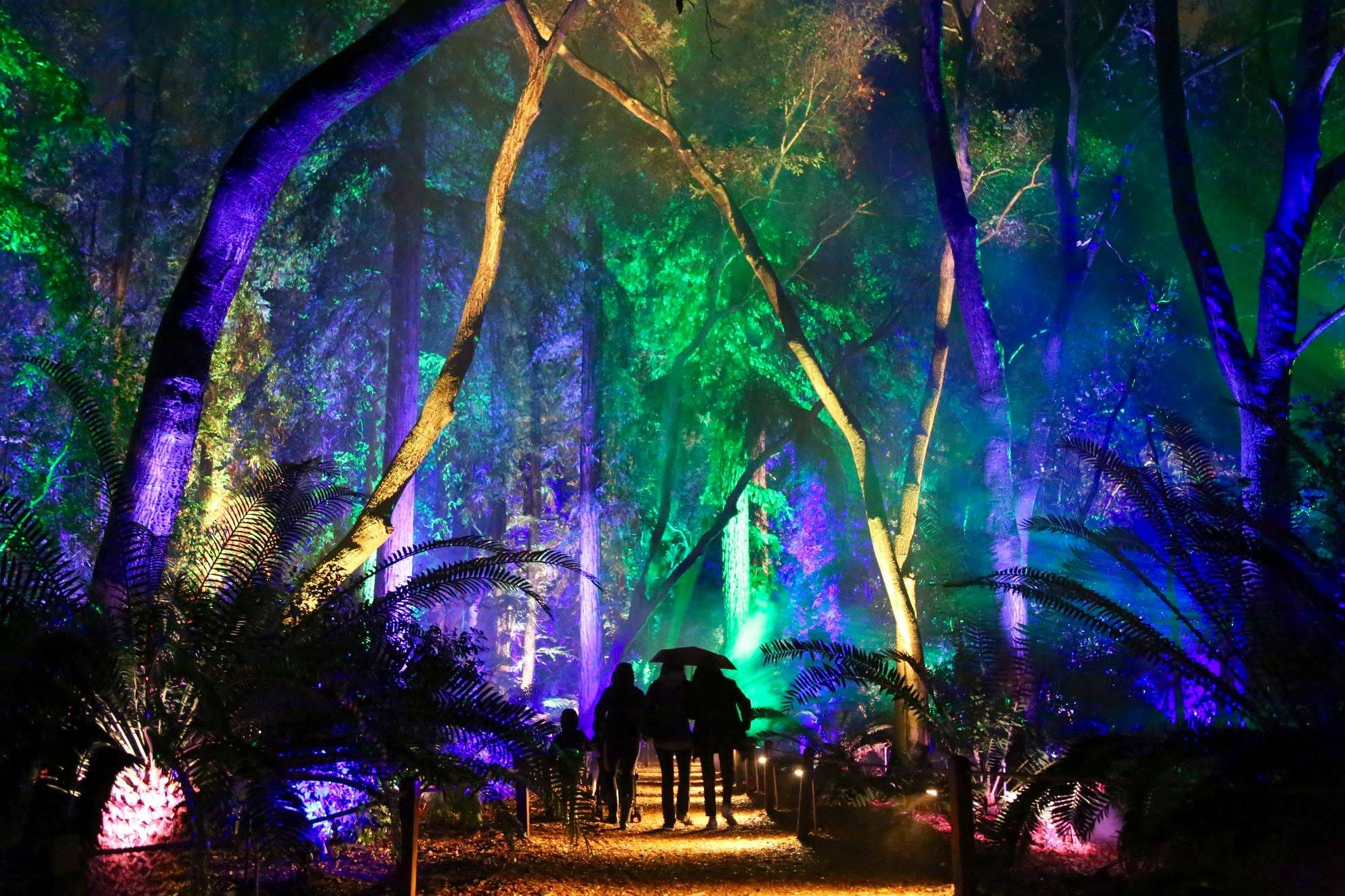 LA: Descanso Gardens’ Enchanted: Forest of Light