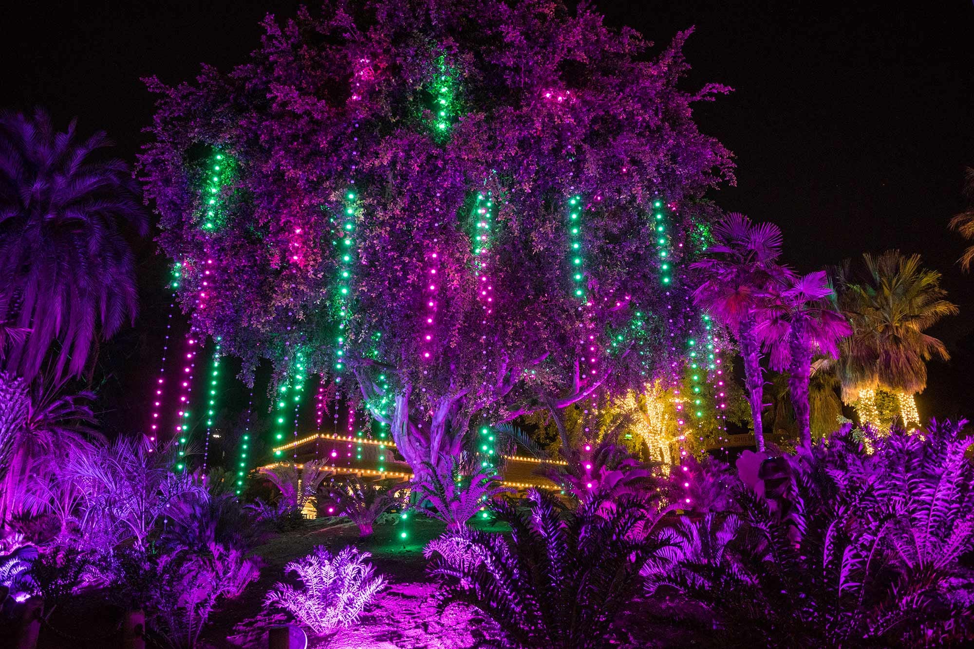 LA: Zoo Lights